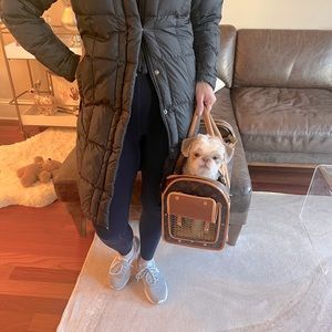 Louis Vuitton Dog carrier!!